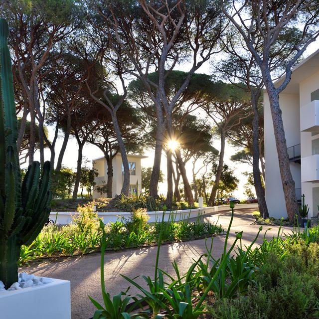 The Sense Experience Resort photo 13