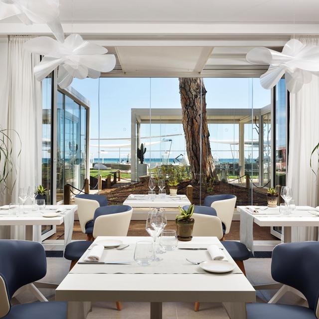 The Sense Experience Resort photo 6