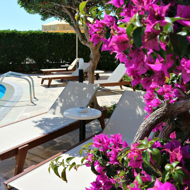 Proteas Hotel & Suites photo 15