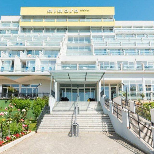 Hôtel Mimosa Lido Palace photo 11