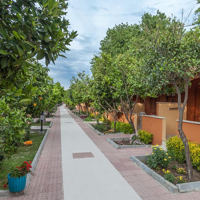 Hôtel Ozlem Garden photo 10