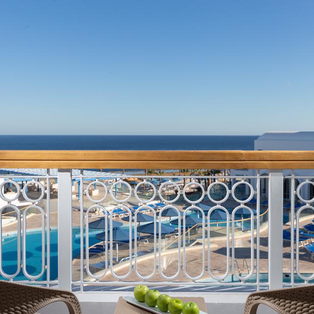 Hôtel Pickalbatros Palace Resort photo 4