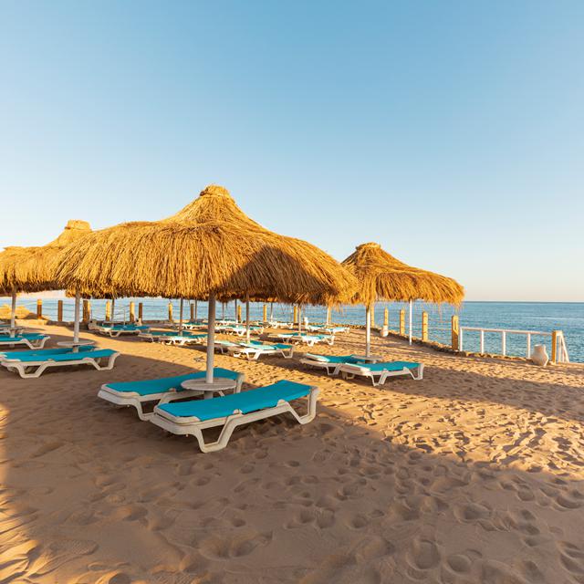 Hôtel SUNRISE Remal Beach photo 7
