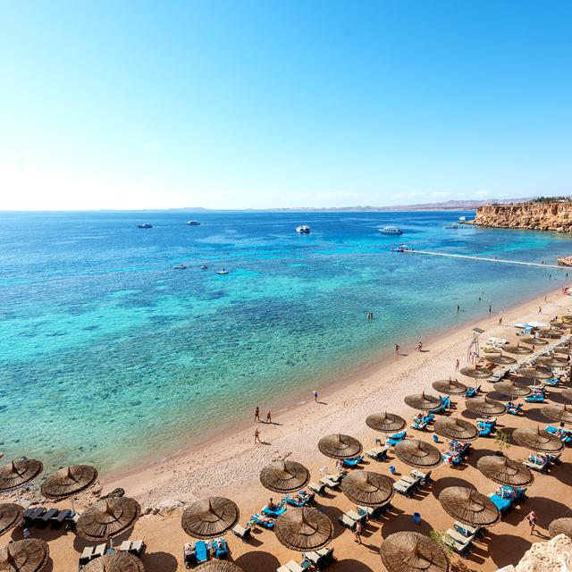 Hotel Reef Oasis Beach Resort - All inclusive photo 19