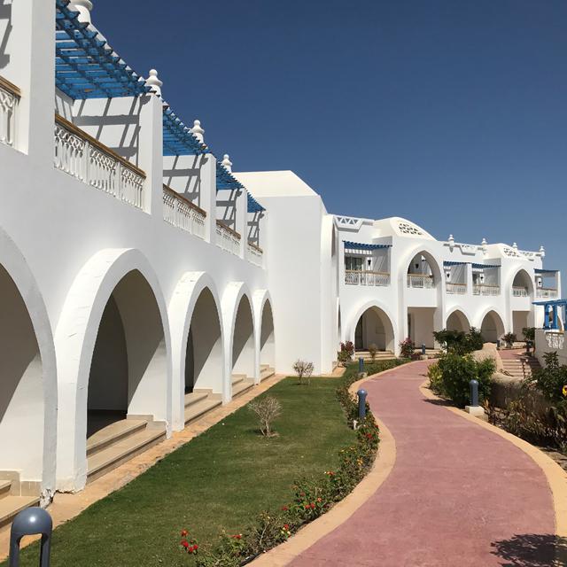 Hôtel Pickalbatros Palace Resort photo 19