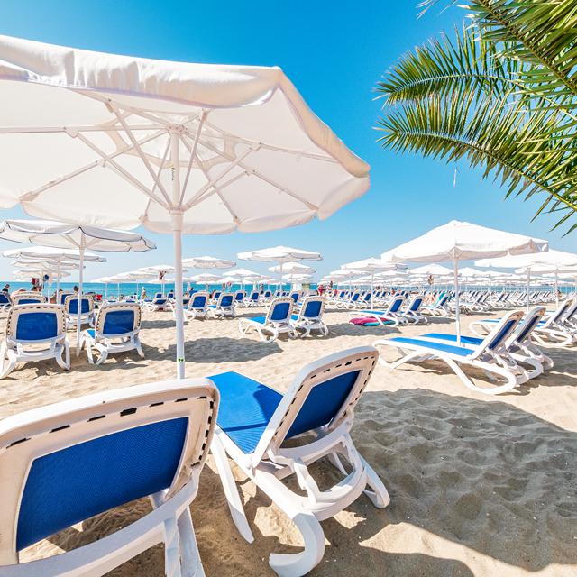Voya Beach Resort photo 25
