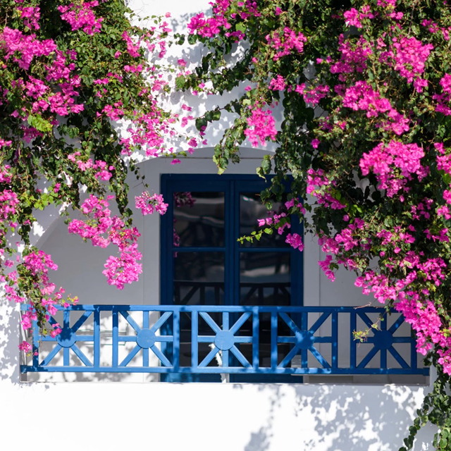 Hôtel Veggera photo 12