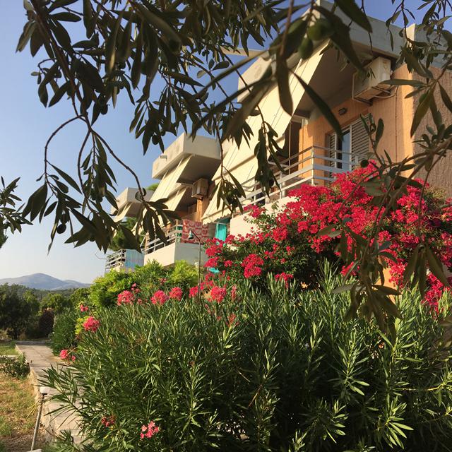 Vakantie Appartementen Galini in Lassi (Kefalonia, Griekenland)