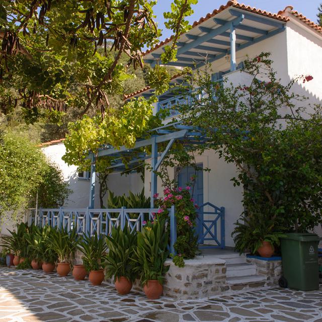 Vakantie Aparthotel Blue Horizon in Psili Ammos (Samos, Griekenland)