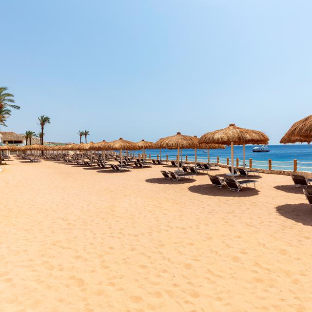 Hôtel Sunrise Meraki Sharm photo 6