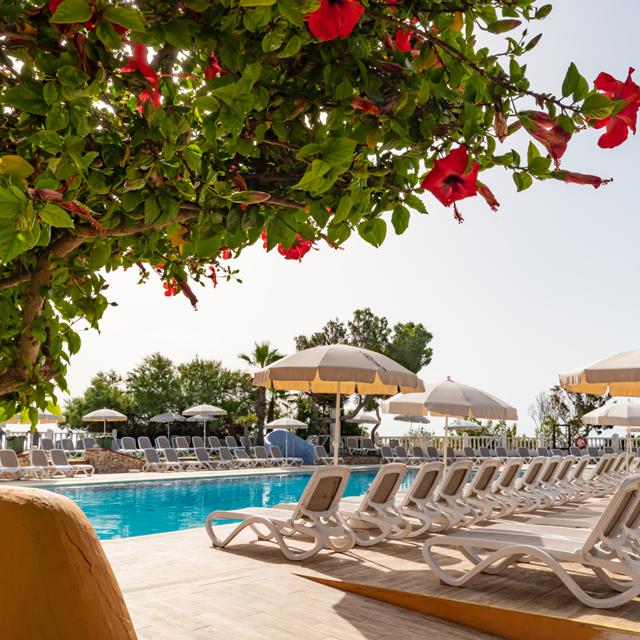 Hôtel Cala Martina by LLUM