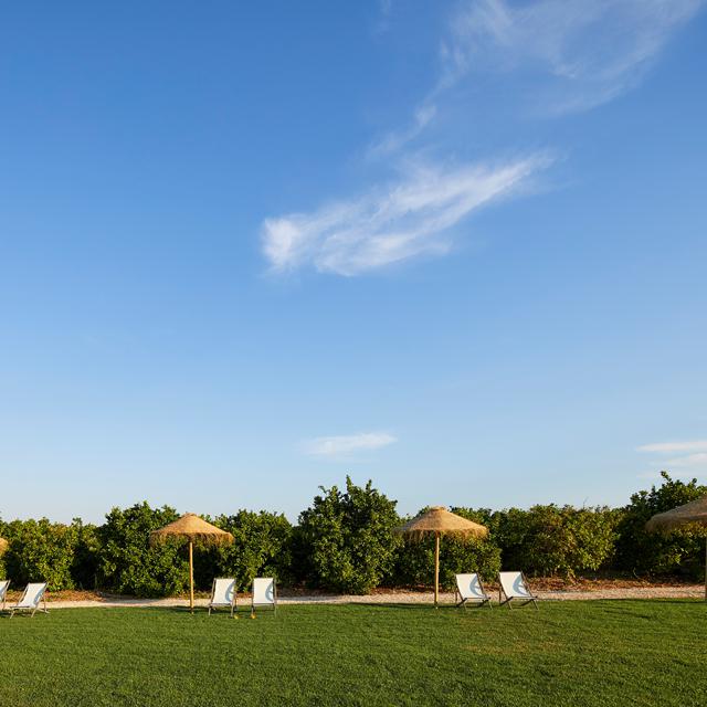 Rufino Quinta - Portugal - Algarve - Silves