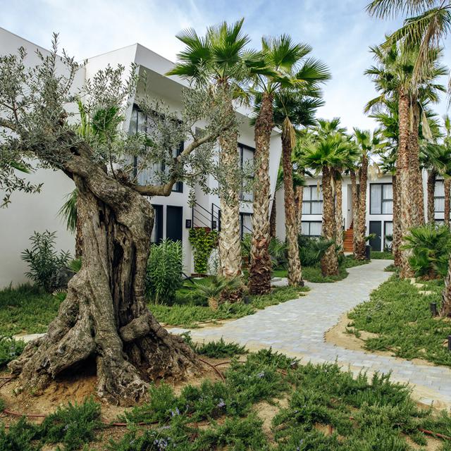 Hôtel Alannia Salou photo 25