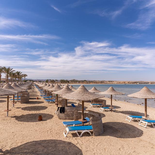 Malikia Resort Abu Dabbab photo 16