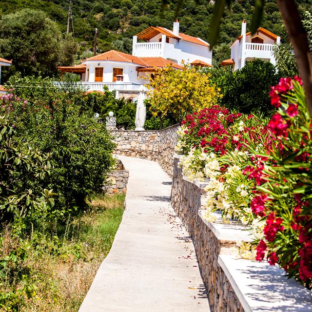 Circuit 22 jours Skopelos - Alonissos - Skiathos photo 11